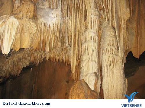 Động Thiên Long - Cát Bà - Ảnh 2