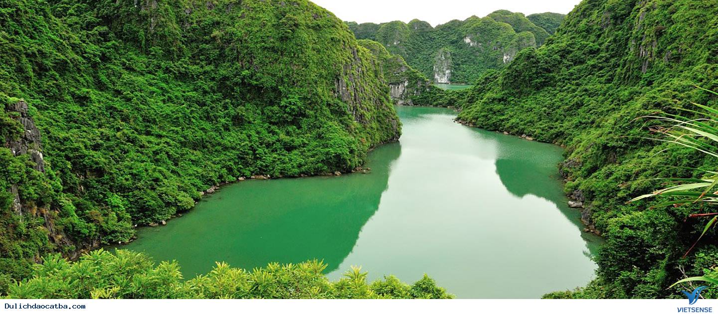 hành trình Cát Bà Ngắn Ngày Nên Tới Những Điểm Đến Nào ? - Ảnh 3