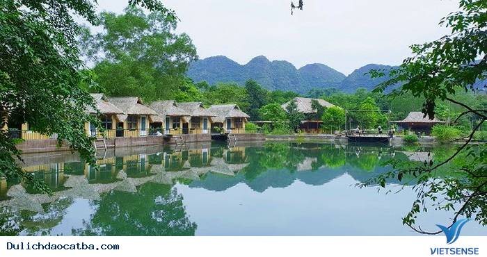 Ghé thăm Hồ Hới Hoi Lake Farmstay trên đảo Cát Bà - Ảnh 2
