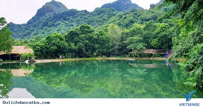 Ghé thăm Hồ Hới Hoi Lake Farmstay trên đảo Cát Bà - Ảnh 1