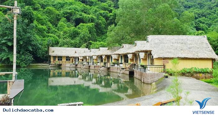 Ghé thăm Hồ Hới Hoi Lake Farmstay trên đảo Cát Bà - Ảnh 4