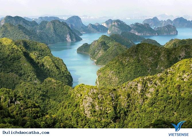 Giới thiệu chung - Ảnh 2