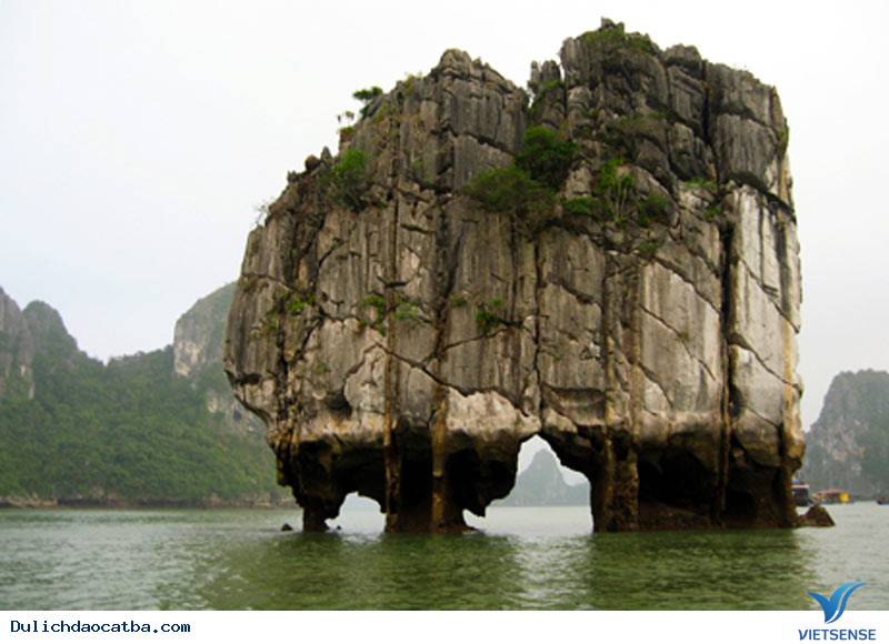 Giới thiệu chung