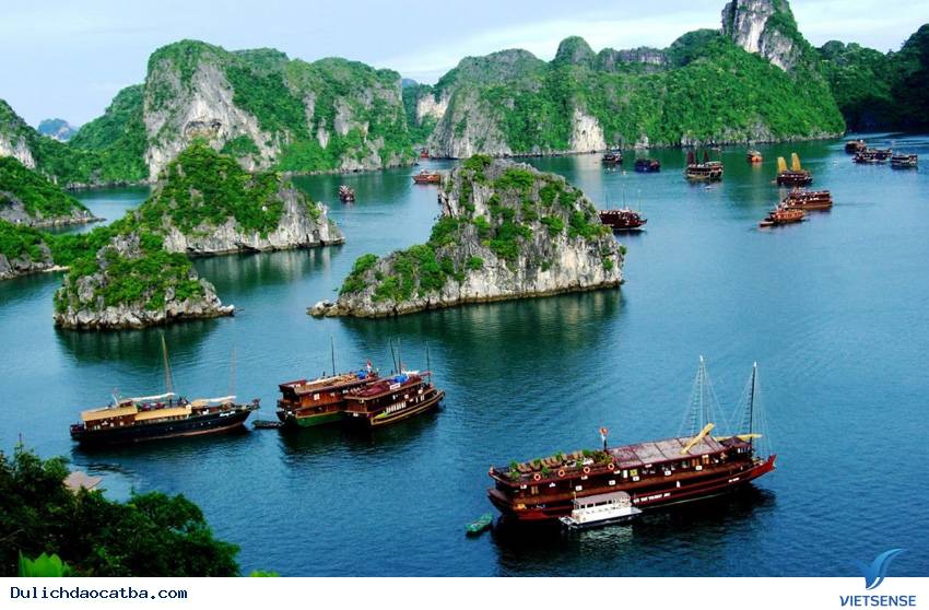 Giới thiệu chung