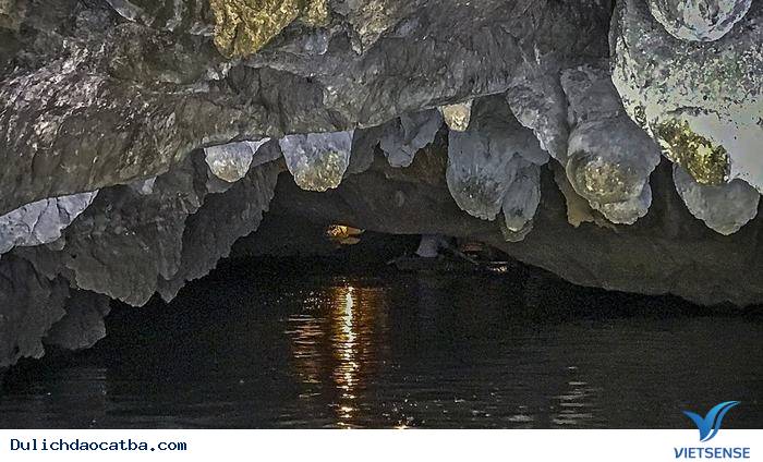 Giới thiệu chung