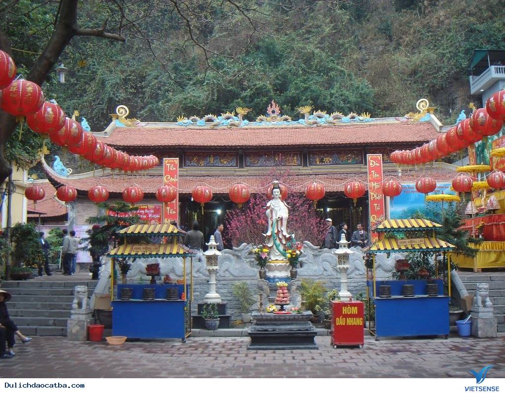 Giới thiệu chung