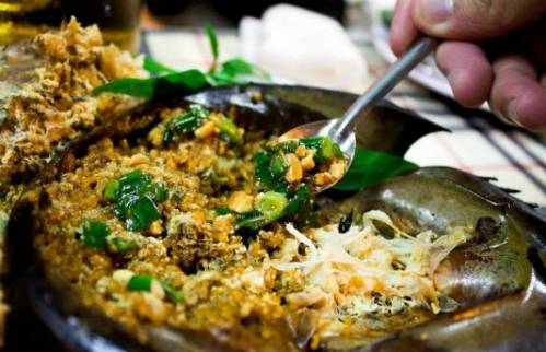 Gỏi Thịt Sam Biển Cát Bà - Ảnh 2