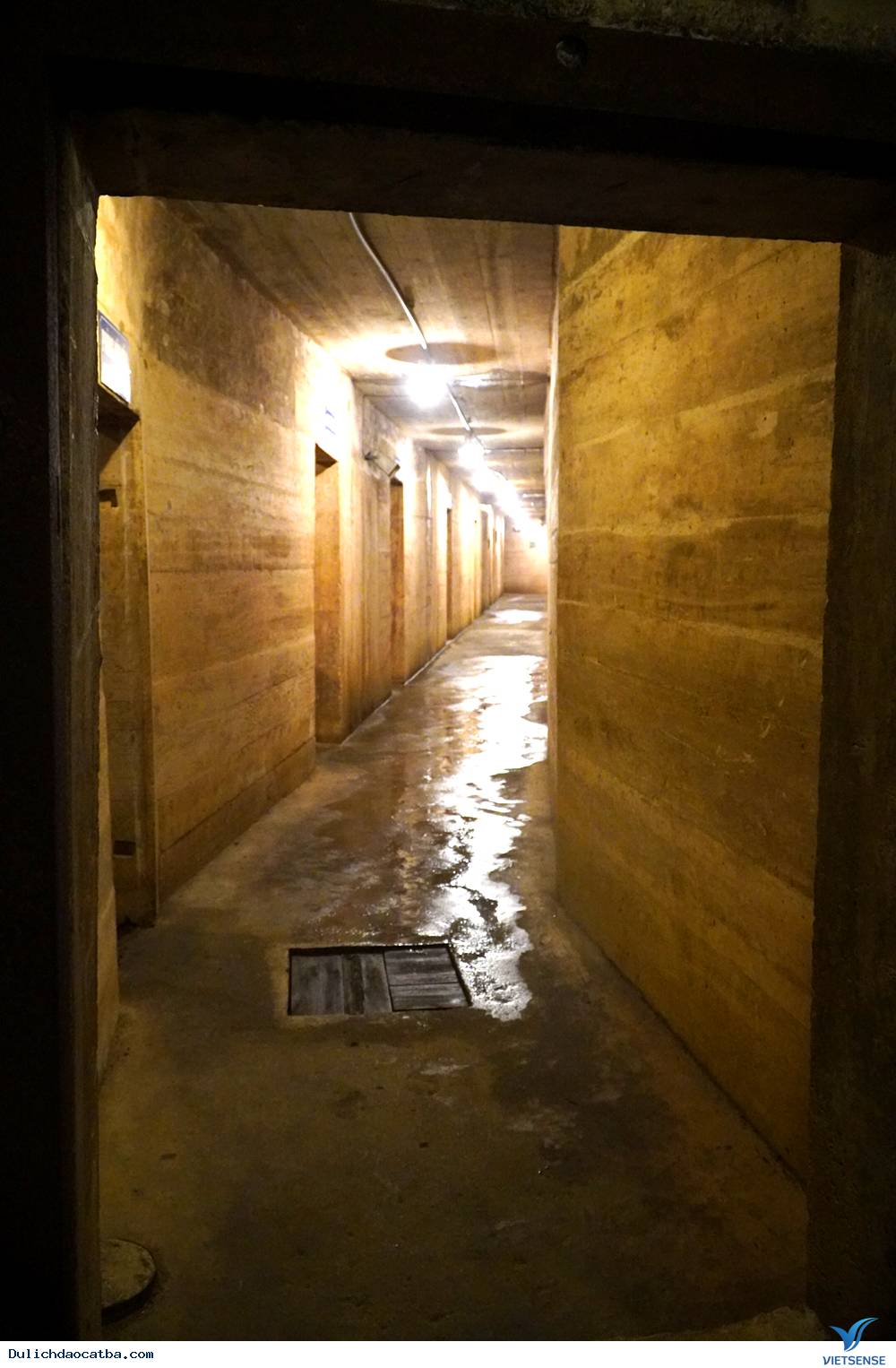 Hang Quân Y Trong Rừng Cát Bà - Ảnh 4 Hang Quân Y Trong Rừng Cát Bà - Ảnh 4