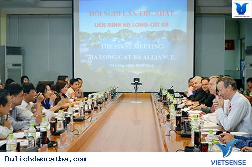 Họp Hội Nghị Triển Khai Dự Án Liên Minh Hạ Long - Cát Bà - Ảnh 1