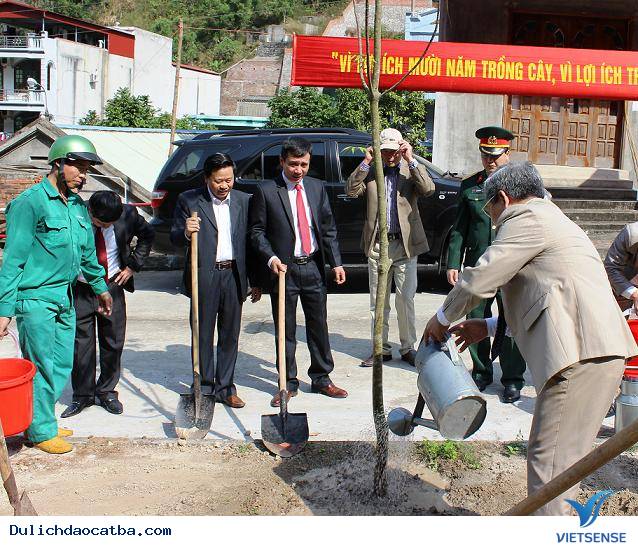 Huyện Cát Hải Phát Động Tết Trồng Cây Đầu Năm Mới - Ảnh 1