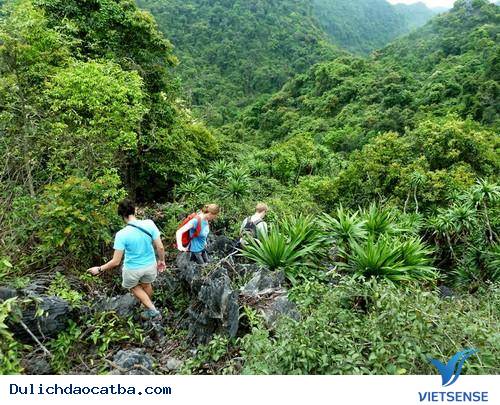 Khách Nước Ngoài Chia Sẻ Những Trải Nghiệm Độc Đáo Ở Cát Bà - Ảnh 2