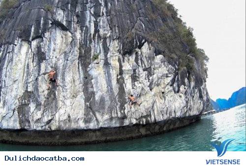 Khách Nước Ngoài Chia Sẻ Những Trải Nghiệm Độc Đáo Ở Cát Bà - Ảnh 3