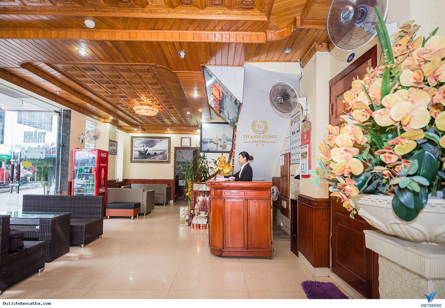 Khách Sạn Thành Công Cát Bà 2 Sao