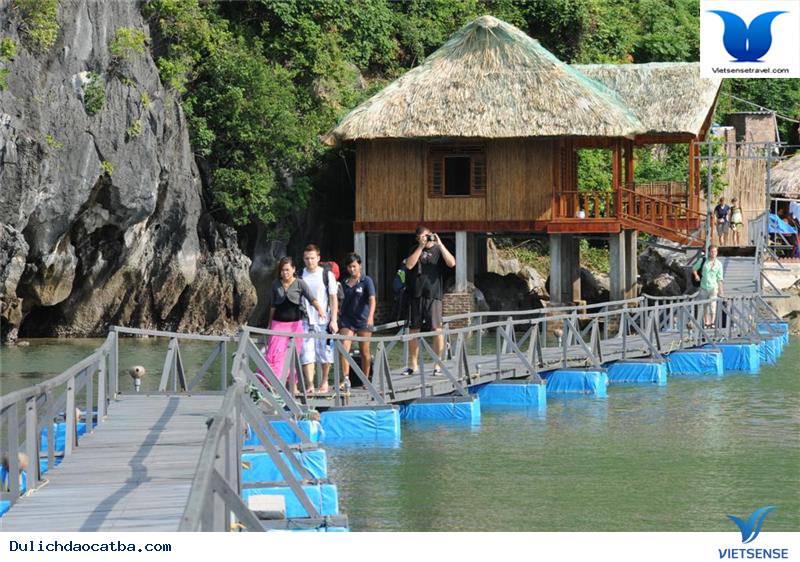 Khám Phá Đảo Nam Cát Hoang Sơ Và Yên Bình - Ảnh 3 Khám Phá Đảo Nam Cát Hoang Sơ Và Yên Bình - Ảnh 3