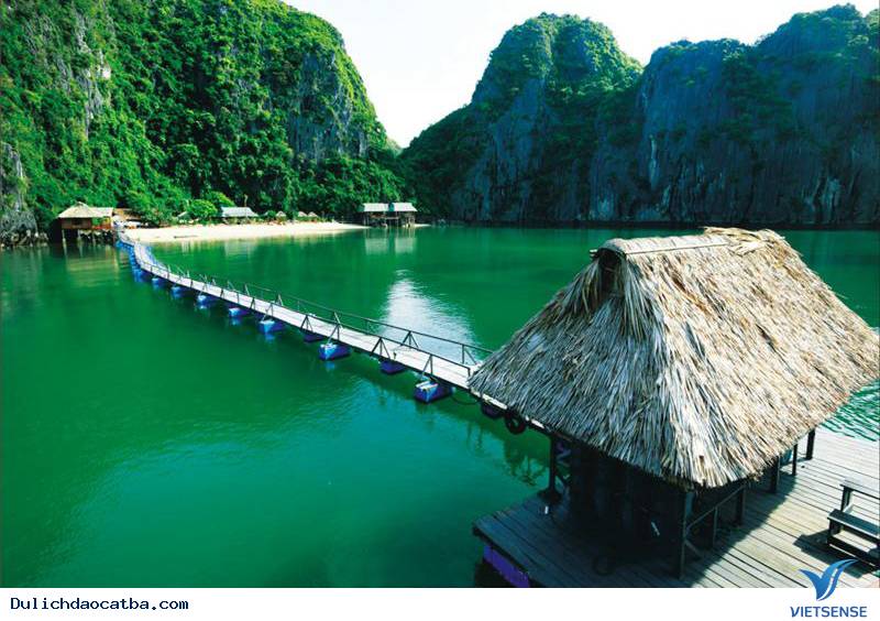 Khám Phá Đảo Nam Cát Hoang Sơ Và Yên Bình - Ảnh 1 Khám Phá Đảo Nam Cát Hoang Sơ Và Yên Bình - Ảnh 1