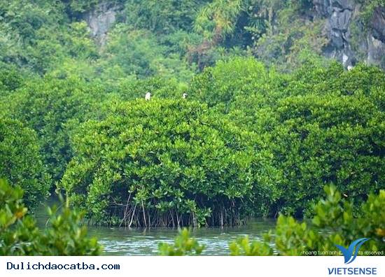 Kiến trúc bên trong - Ảnh 5