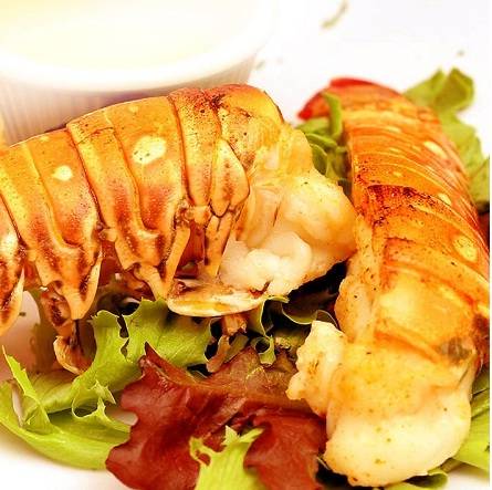 Món Tôm Hùm Món Tôm Hùm