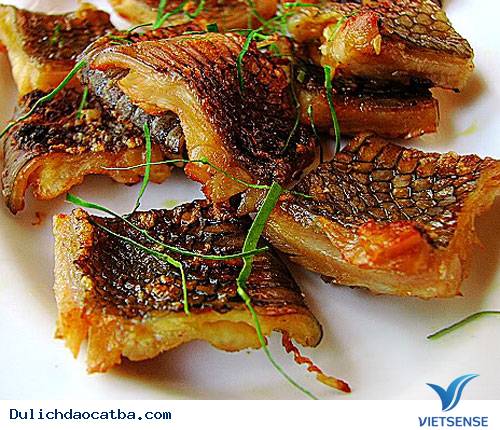 Món Rắn Biển Món Rắn Biển