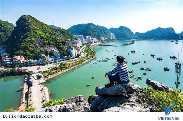 Kinh Nghiệm Xương Máu Khám Phá Đảo Cát Bà 2025 - Ảnh 1 Kinh Nghiệm Xương Máu Khám Phá Đảo Cát Bà 2025 - Ảnh 1