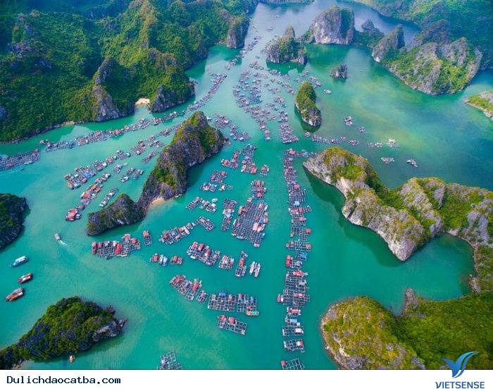 Kinh Nghiệm Xương Máu Khám Phá Đảo Cát Bà 2025 - Ảnh 5 Kinh Nghiệm Xương Máu Khám Phá Đảo Cát Bà 2025 - Ảnh 5