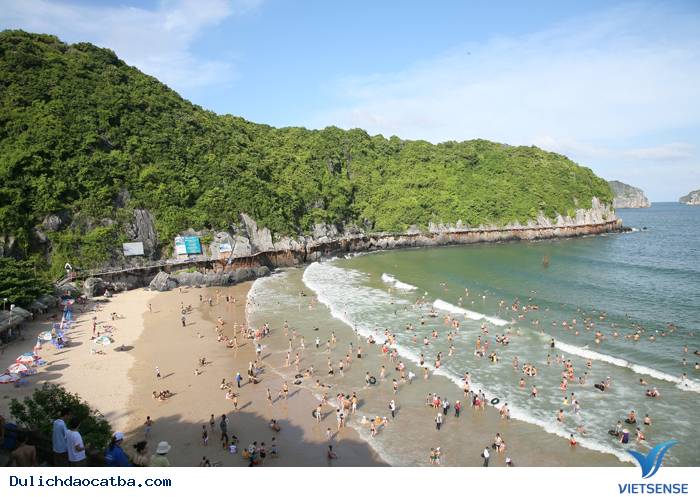 Kinh Nghiệm Xương Máu Khám Phá Đảo Cát Bà 2025 - Ảnh 4 Kinh Nghiệm Xương Máu Khám Phá Đảo Cát Bà 2025 - Ảnh 4