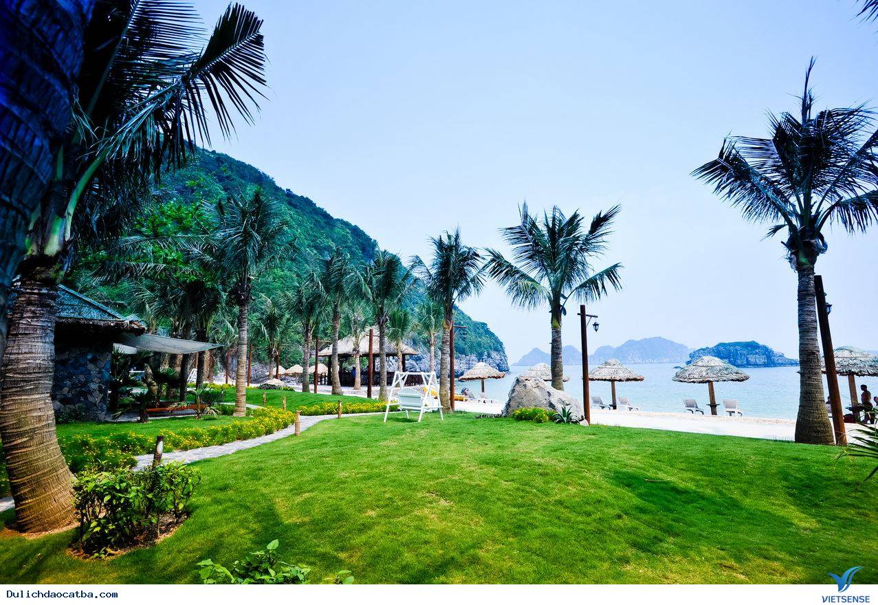 Kỷ niệm 60 năm ngày Bác Hồ về thăm Làng cá Cát Bà - Ảnh 1