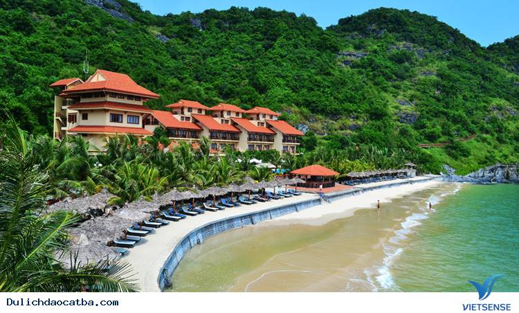 Kỷ niệm 60 năm ngày Bác Hồ về thăm Làng cá Cát Bà - Ảnh 3