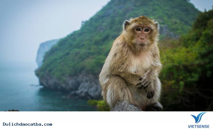 Làm gì ở Nam Cát ? - Ảnh 2 Làm gì ở Nam Cát ? - Ảnh 2