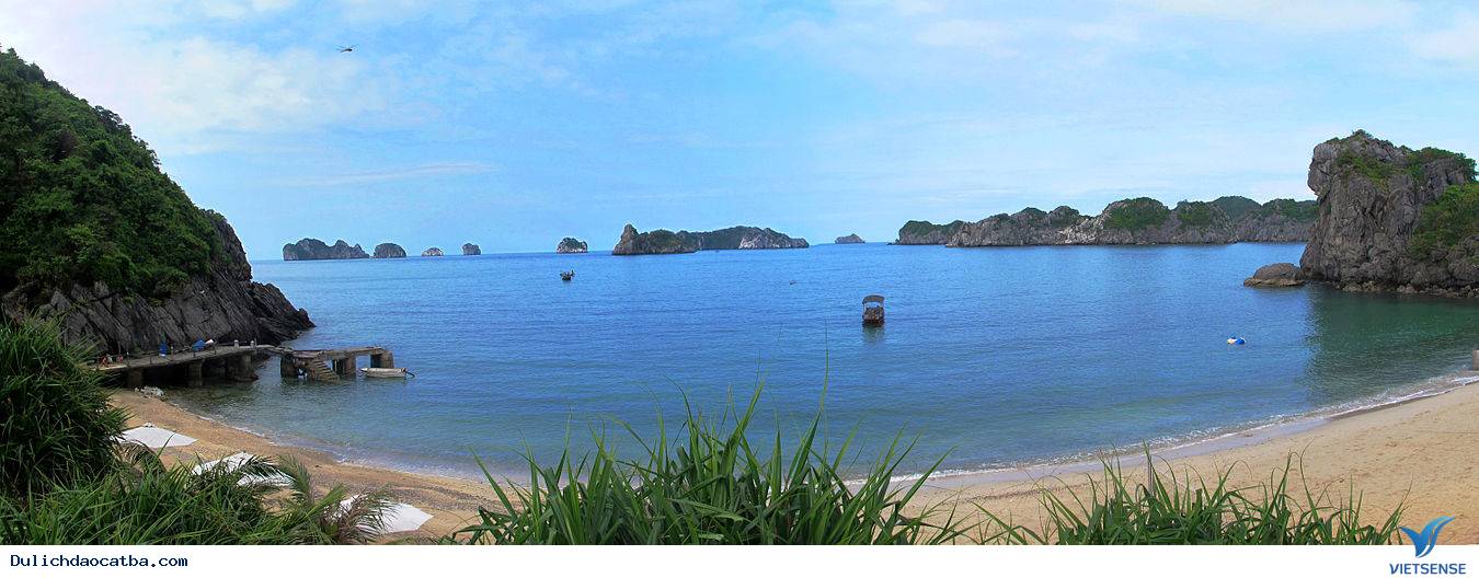 Làm Gì Trên đảo Vụng Hà ? - Ảnh 1 Làm Gì Trên đảo Vụng Hà ? - Ảnh 1