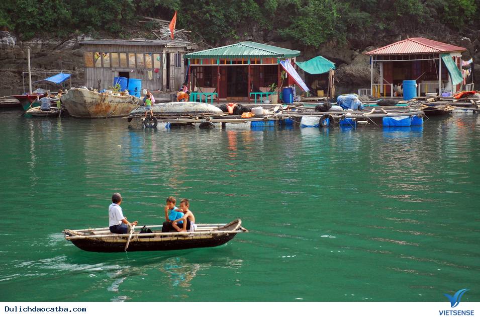 Làm Gì Trên đảo Vụng Hà ? - Ảnh 3 Làm Gì Trên đảo Vụng Hà ? - Ảnh 3