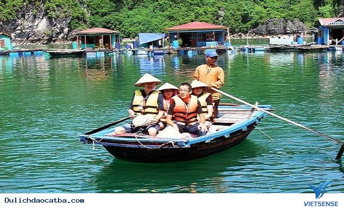 Làm Gì Trên đảo Vụng Hà ? - Ảnh 4 Làm Gì Trên đảo Vụng Hà ? - Ảnh 4