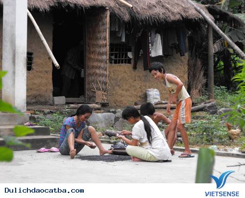 Làng Việt Hải, Cát Bà - Ảnh 3 Làng Việt Hải, Cát Bà - Ảnh 3