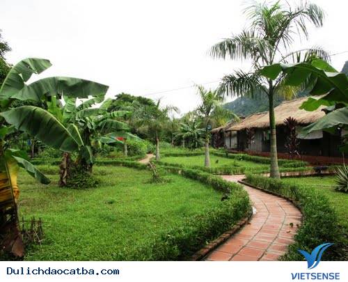 Làng Việt Hải, Cát Bà - Ảnh 1 Làng Việt Hải, Cát Bà - Ảnh 1