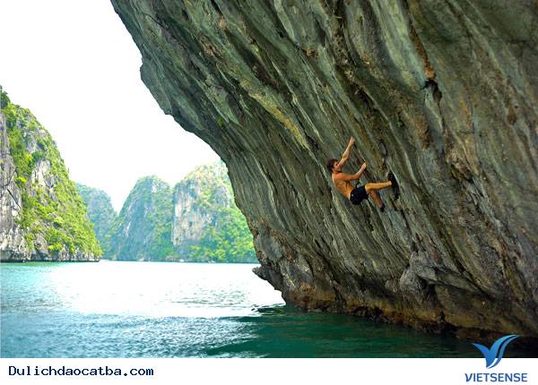 Thuộc vịnh Lan Hạ