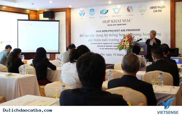 Nhật Bản Hỗ Trợ Đảo Cát Bà Bảo Vệ Môi Trường Nước - Ảnh 1 Nhật Bản Hỗ Trợ Đảo Cát Bà Bảo Vệ Môi Trường Nước - Ảnh 1