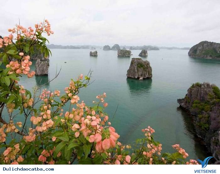 Nhìn từ hang Thiên Cảnh Sơn ra ngoài - Ảnh 1 Nhìn từ hang Thiên Cảnh Sơn ra ngoài - Ảnh 1