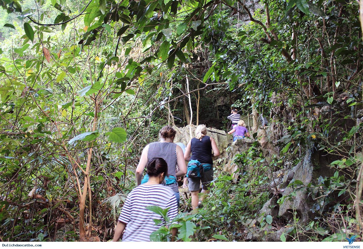 Vườn quốc gia cát bà