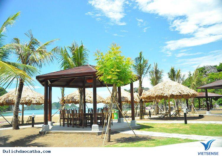 Bãi Tắm Tùng Thu