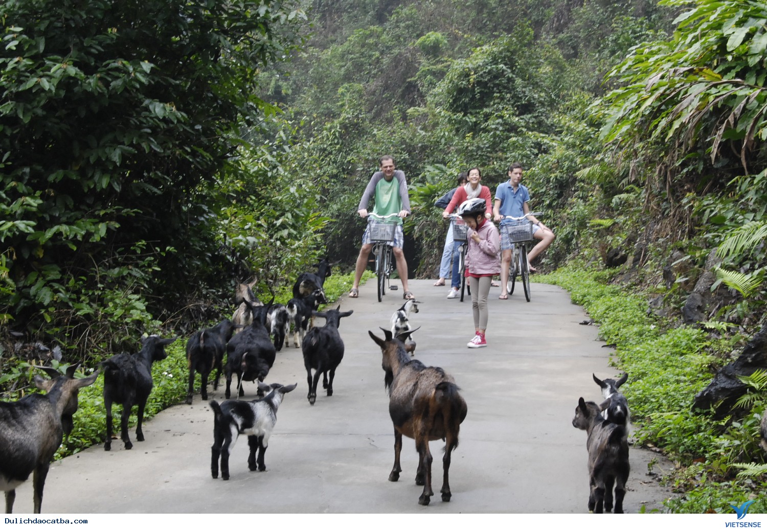 Làng Việt Hải - Ảnh 2