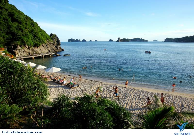 Những Hoạt Động Thú Vị Trong chuyến đi Cát Bà - Ảnh 2