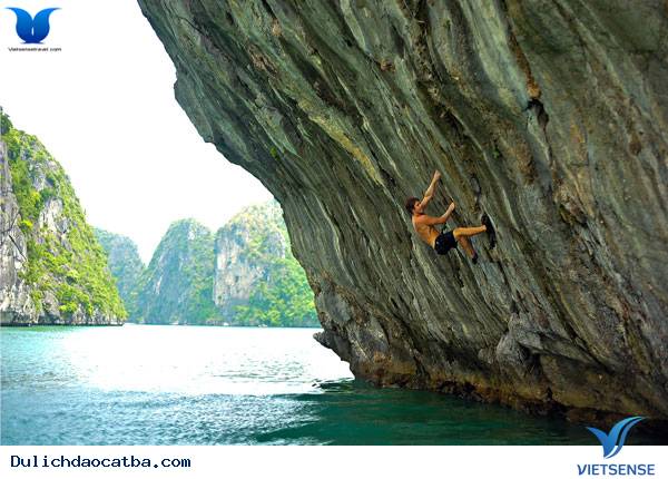 Những Hoạt Động Thú Vị Trong chuyến đi Cát Bà - Ảnh 4