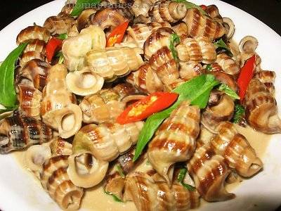 Những Món Ngon Khó Cưỡng Khi đi thăm quan Cát Bà (P2) - Ảnh 1 Những Món Ngon Khó Cưỡng Khi đi thăm quan Cát Bà (P2) - Ảnh 1