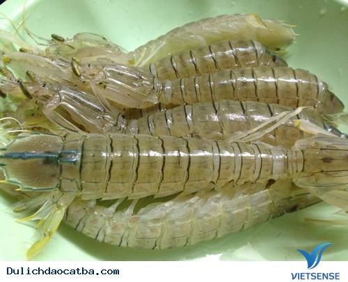 Bề Bề Rang Muối - Ảnh 1 Bề Bề Rang Muối - Ảnh 1