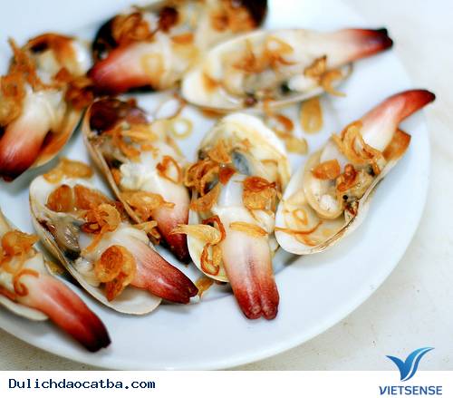 Những Trải Nghiệm Khó Quên Khi Du Lịch Cát Bà - Ảnh 3 Những Trải Nghiệm Khó Quên Khi Du Lịch Cát Bà - Ảnh 3