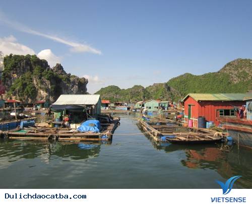 Những Trải Nghiệm Khó Quên Khi Du Lịch Cát Bà - Ảnh 2 Những Trải Nghiệm Khó Quên Khi Du Lịch Cát Bà - Ảnh 2