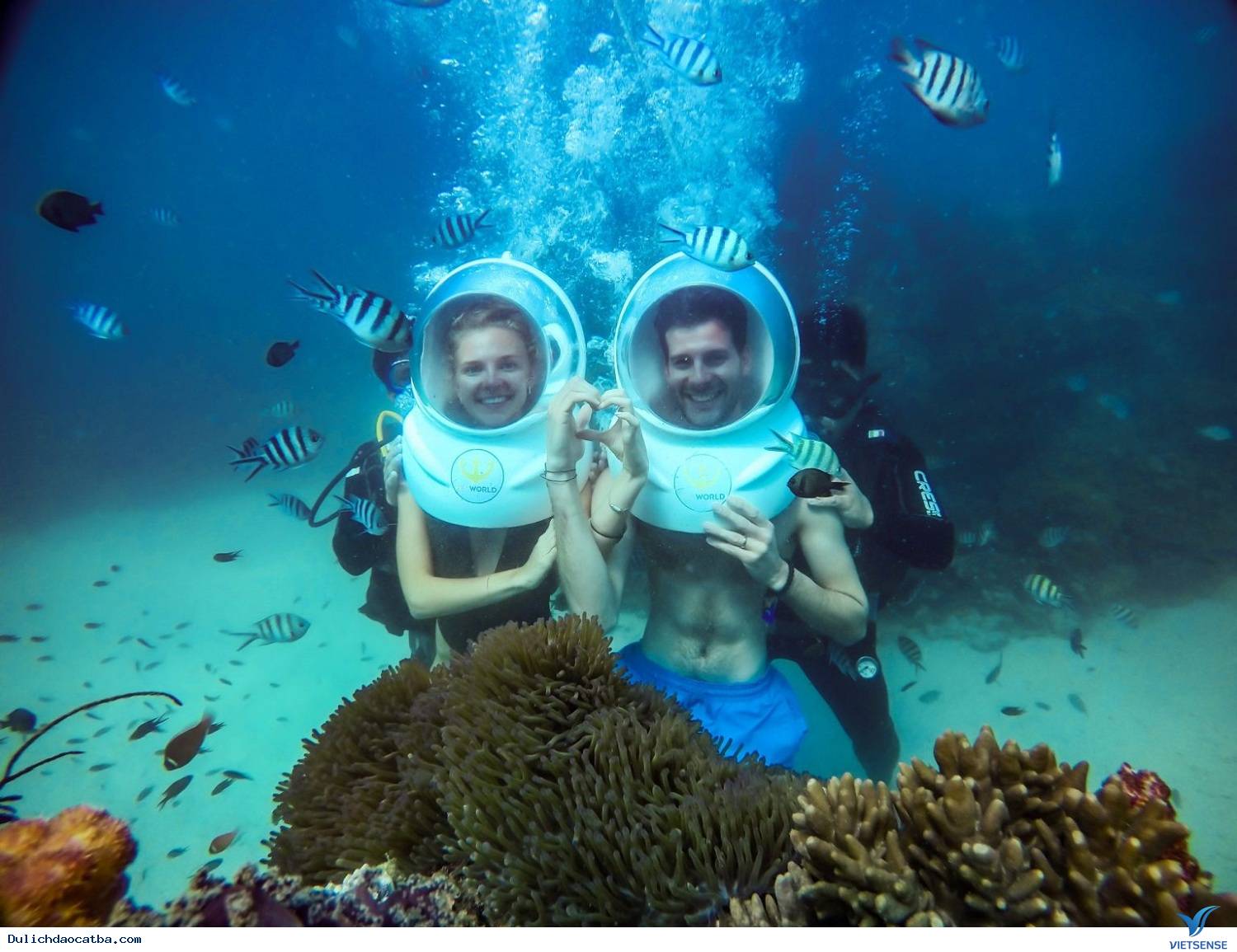 Những trải nghiệm thú vị ở Cát Bà - Ảnh 2