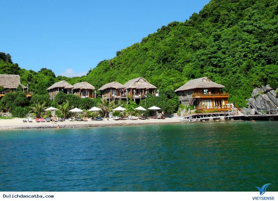 Tất tần tật Vịnh Lan Hạ- Cát Bà - Ảnh 2 Tất tần tật Vịnh Lan Hạ- Cát Bà - Ảnh 2