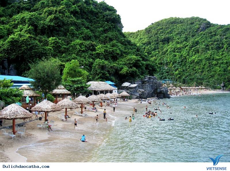 Tất tần tật Vịnh Lan Hạ- Cát Bà - Ảnh 3 Tất tần tật Vịnh Lan Hạ- Cát Bà - Ảnh 3