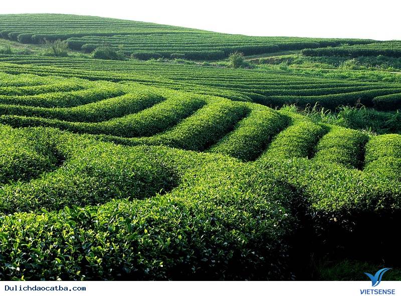 Tháng 8 - Thời Điểm Lý Tưởng Cho Mọi chuyến đi - Ảnh 1