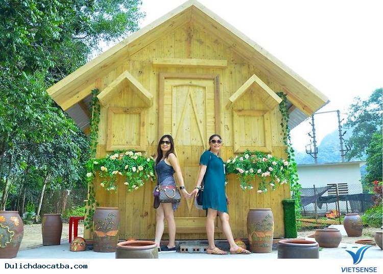 Giá vé vào cửa thung lũng hoa Cát Bà là bao nhiêu? - Ảnh 5